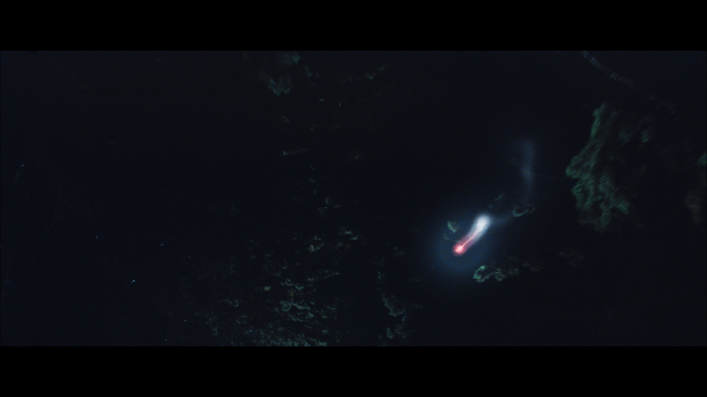 Untitled_1.1.21