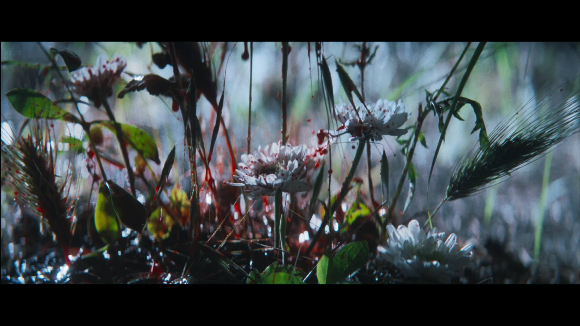 Untitled_1.1.23